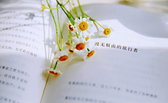 【SEO小技巧】網(wǎng)站優(yōu)化好幫手 – 百度優(yōu)化 Search Console