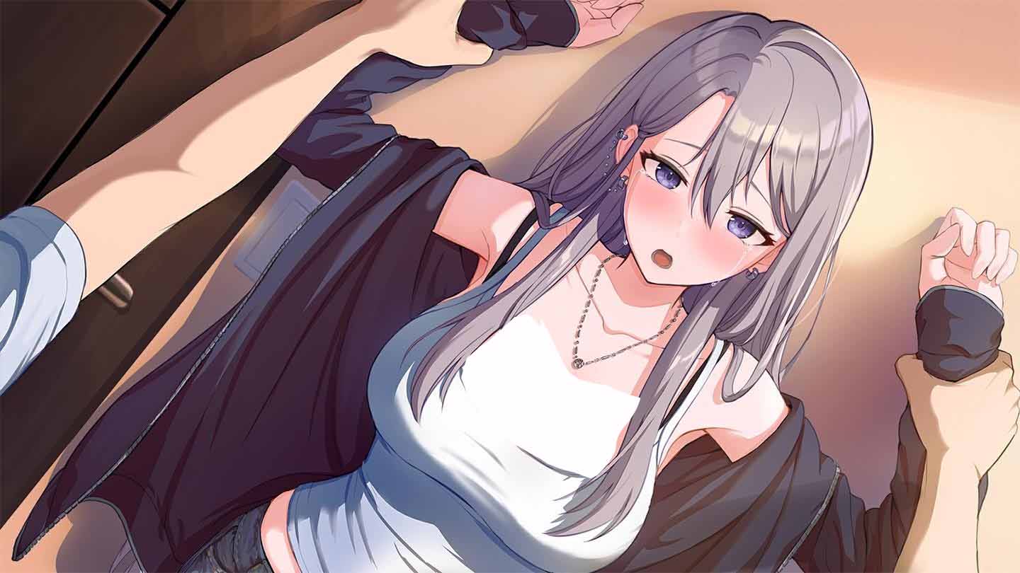【日系SLG動態(tài)/安卓直裝+PC】姐姐同居生活： 幸福的二人房