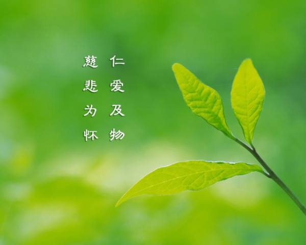 如何安慰感情文案句子圖片