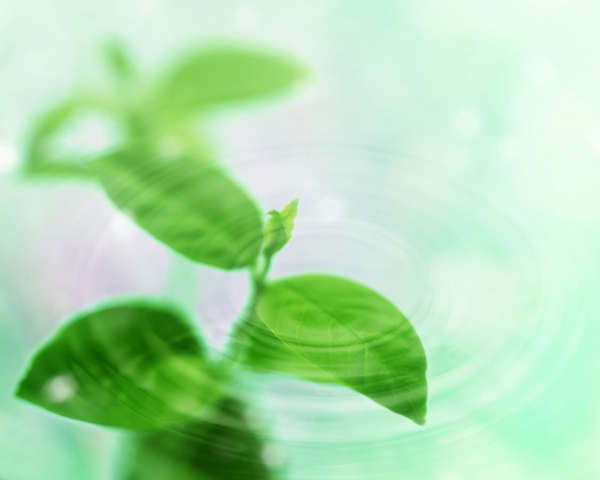 如何快速寫總結(jié)文案技巧