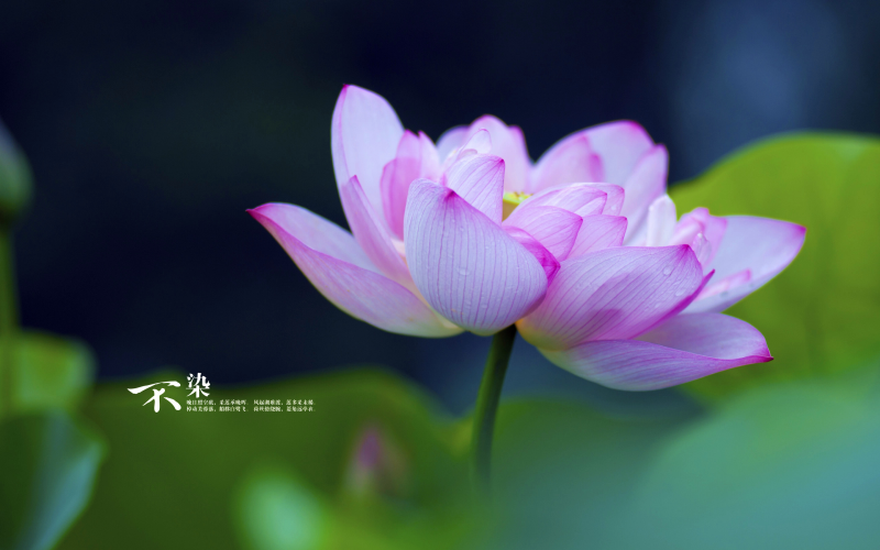 Windows 10 配置Java 環(huán)境變量詳解